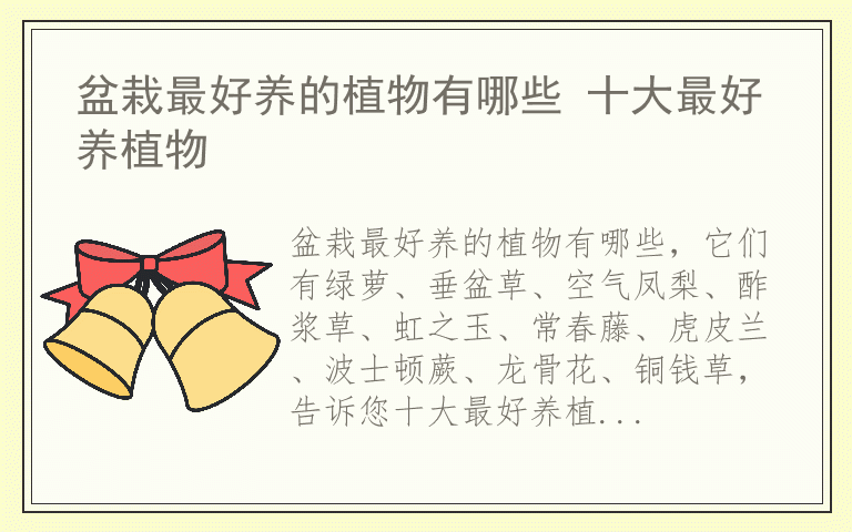 盆栽最好养的植物有哪些 十大最好养植物