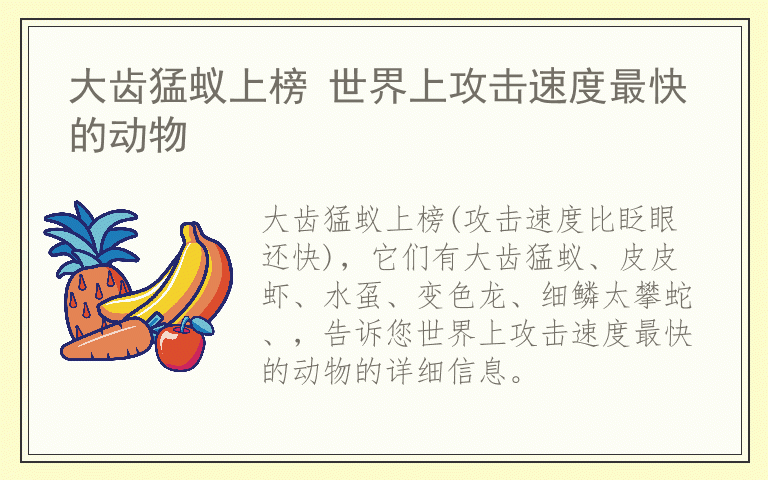 大齿猛蚁上榜 世界上攻击速度最快的动物