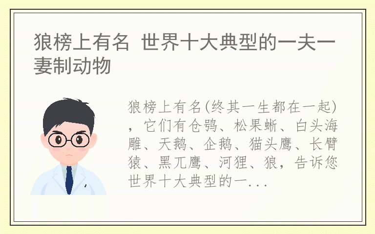 狼榜上有名 世界十大典型的一夫一妻制动物