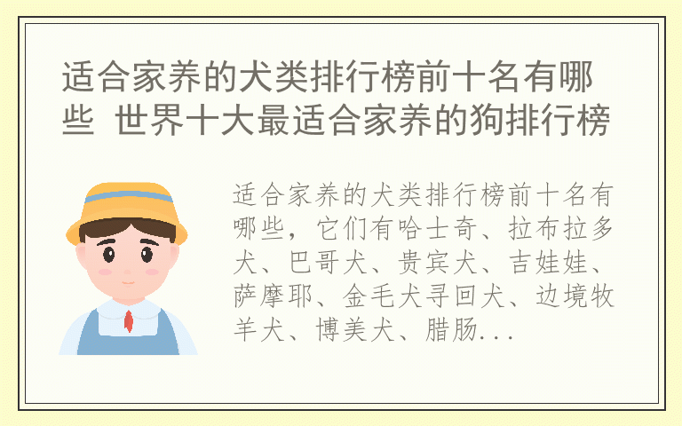 适合家养的犬类排行榜前十名有哪些 世界十大最适合家养的狗排行榜