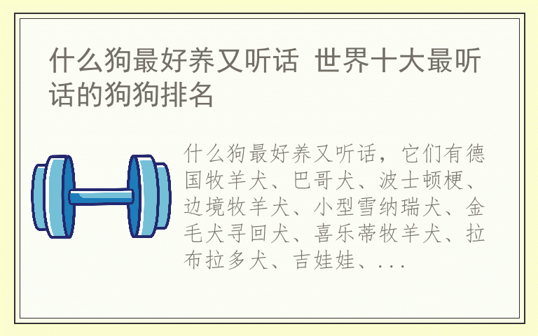 什么狗最好养又听话 世界十大最听话的狗狗排名