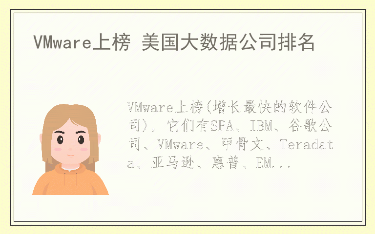 VMware上榜 美国大数据公司排名
