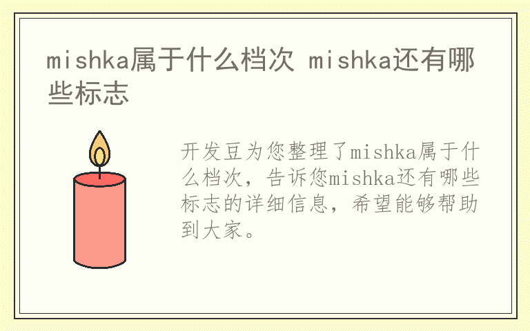 mishka属于什么档次 mishka还有哪些标志