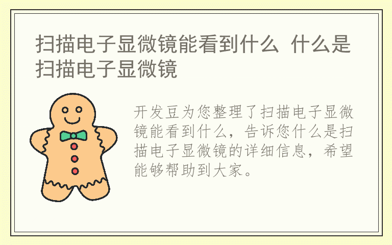 扫描电子显微镜能看到什么 什么是扫描电子显微镜