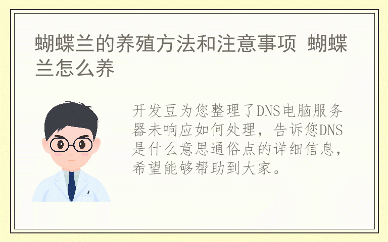 DNS电脑服务器未响应如何处理 DNS是什么意思通俗点