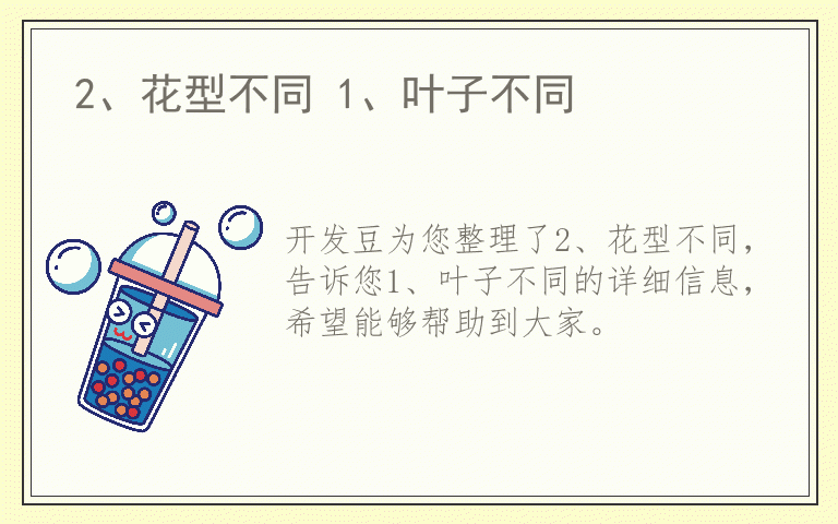 2、花型不同 1、叶子不同