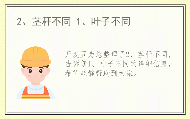 2、茎秆不同 1、叶子不同