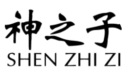 神之子/SHENZHIZI
