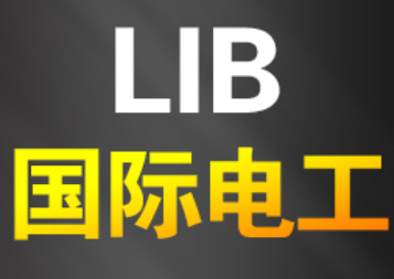 LIB国际电工