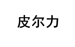 皮尔力/PERI