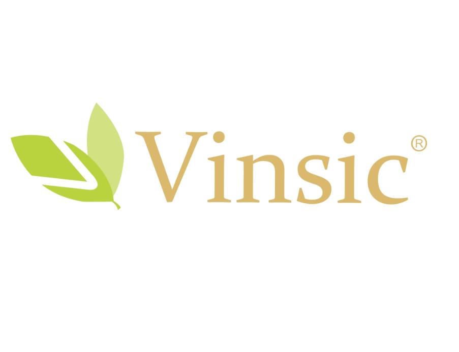 文斯可/Vinsic