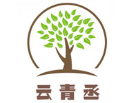 云青丞