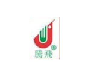 腾飞