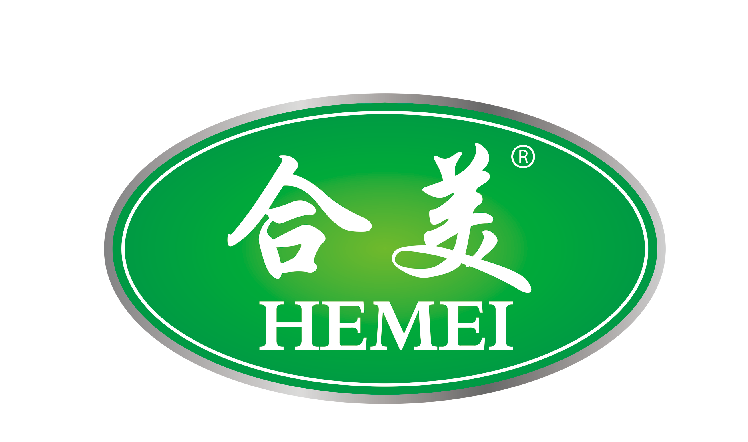 合美洗地机