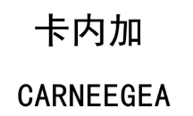 卡内加/CARNEEGEA