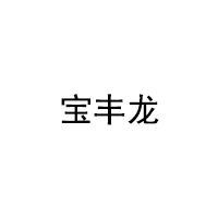 宝丰龙/BAOFENGLONG