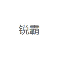 锐霸/RUIBA