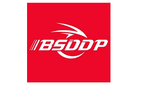 BSDDP