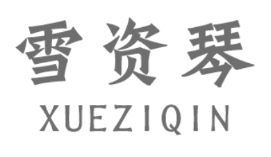 雪姿琴/XUEZIQIN