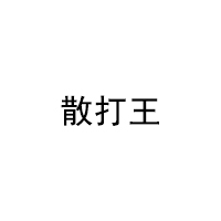 散打王