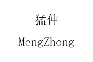 猛仲/MengZhong