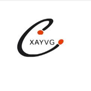 XAYVG