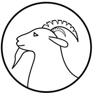 岭羊