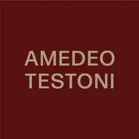 铁狮东尼/Amedeo Testoni
