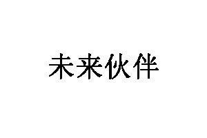 未来伙伴