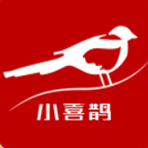 小喜鹊/Magpie