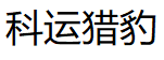 科运猎豹