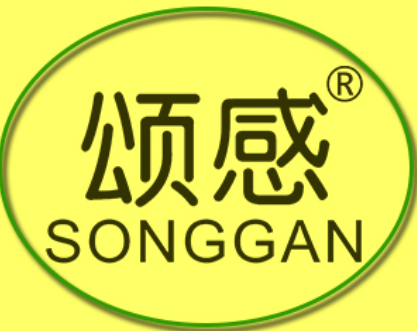 颂感/SONGGAN
