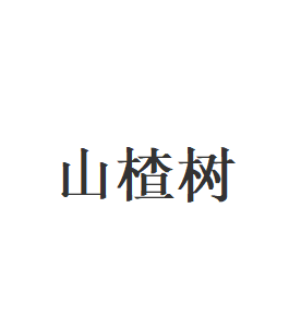 山楂树