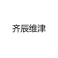 齐辰维津
