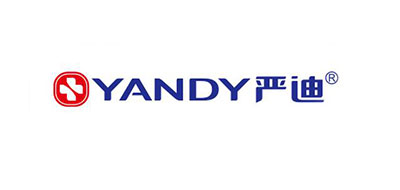 严迪/YANDY