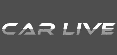 巧夫人/CAR LIVE