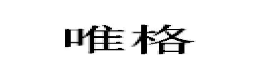 唯格/VIGORKIDS