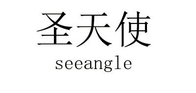 圣天使/SEEANGEL