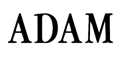 亚当/Adam