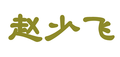 赵少飞