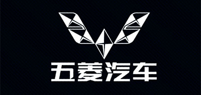 五菱荣光S丨V