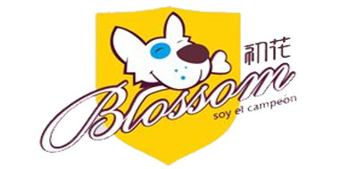 初花/BLOSSOM