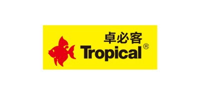 卓必客