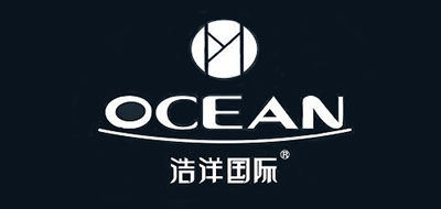 浩洋国际