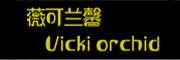 薇可兰馨/Vicki  orchid