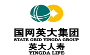 国网英大
