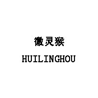 徽灵猴/HUILINGHOU