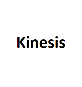 Kinesis