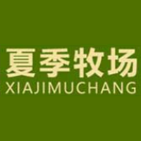 夏季牧场/SUMMER PASTURE