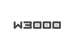 W3000